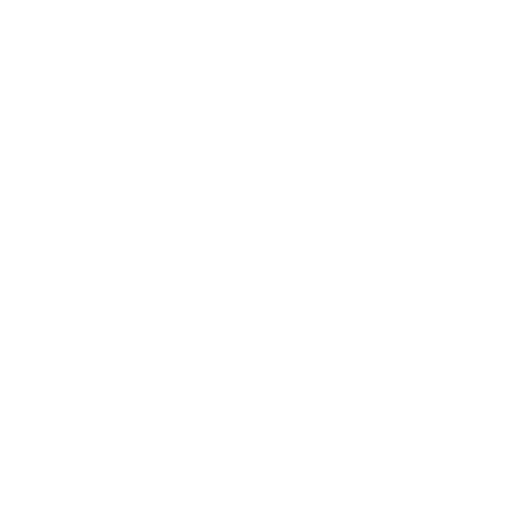 Booz Allen Hamilton